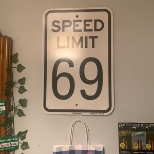 Speed Limit Sign 69 ;)